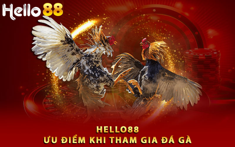 Ưu điểm khi tham gia đá gà