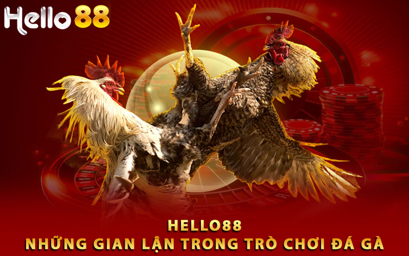 Những gian lận trong trò chơi đá gà