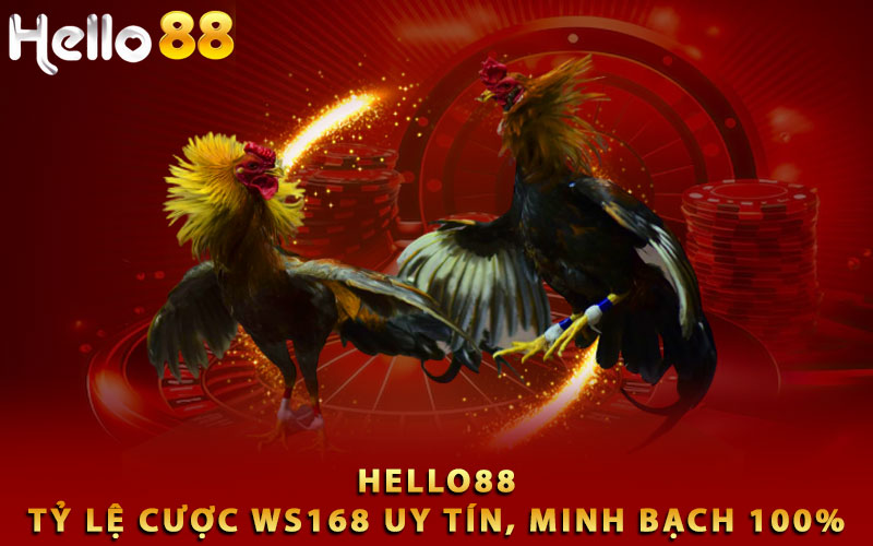 Tỷ lệ cược WS168 uy tín, minh bạch 100%