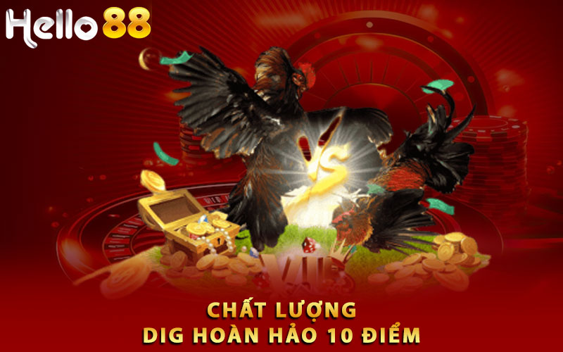 Chất lượng DIG hoàn hảo 10 điểm