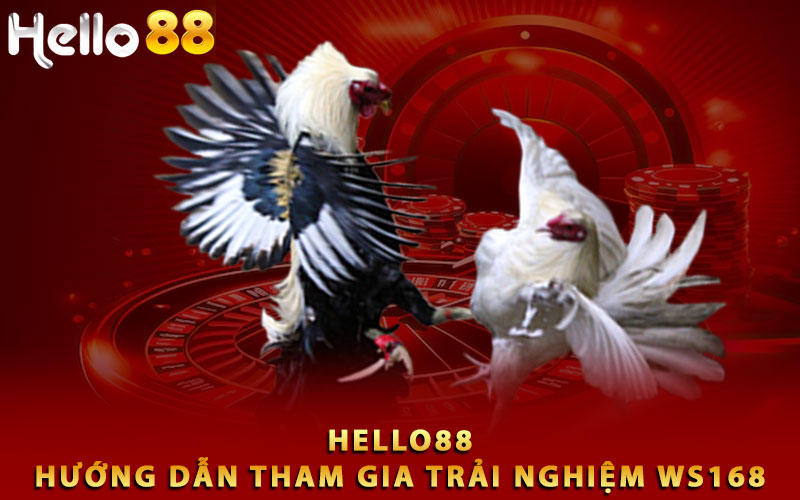 Hướng dẫn tham gia trải nghiệm WS168